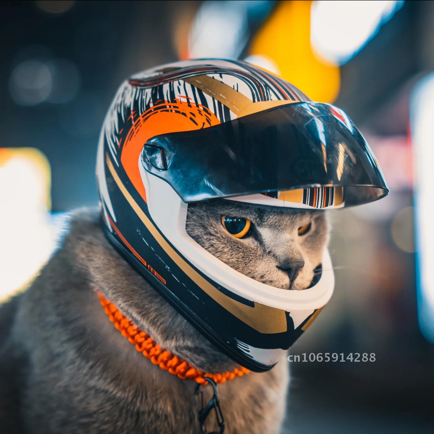 Motorcycle Gear Dogs - 사진용 애완동물 헬멧, 고양이 헬멧, 강아지