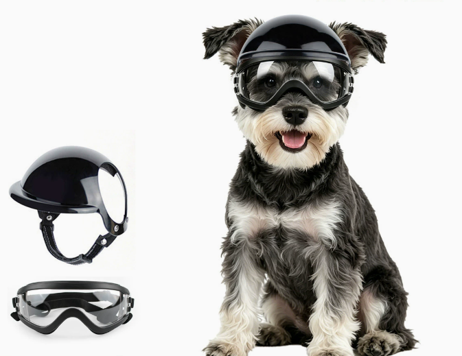 Motorcycle Gear Dogs - 강아지 선글라스 및 애완동물 헬멧 세트,