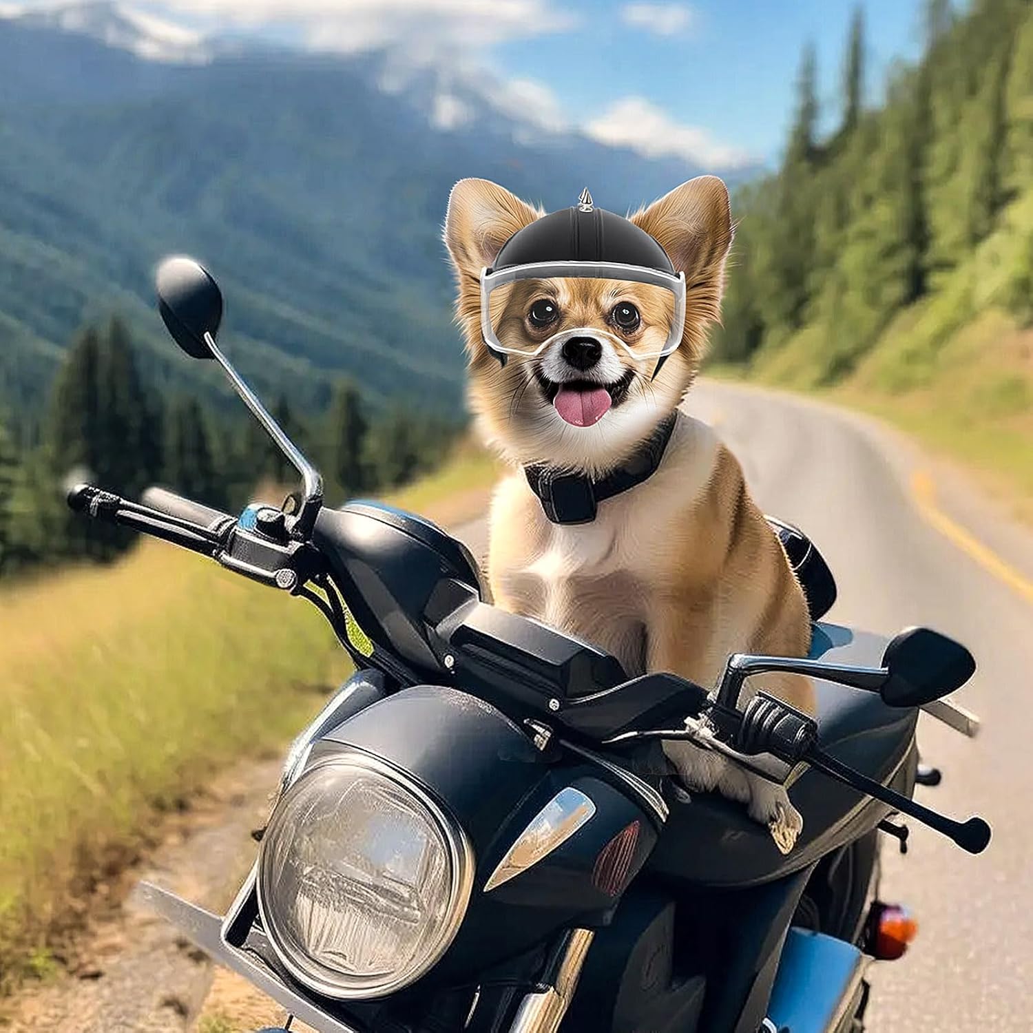 Motorcycle Gear Dogs - 소형견 헬멧 애완동물 오토바이 헬멧 귀
