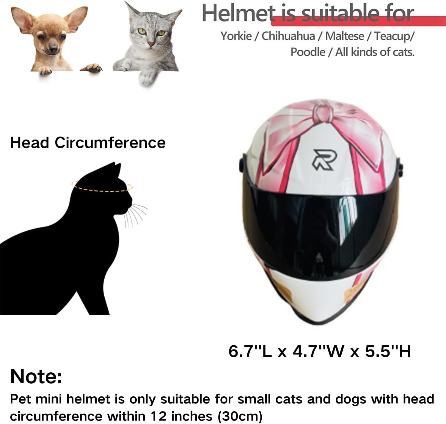 고양이 오토바이 헬멧 풀페이스 야외 라이딩 헬멧 모자  - Motorcycle Gear Dogs 리뷰 및 가격
