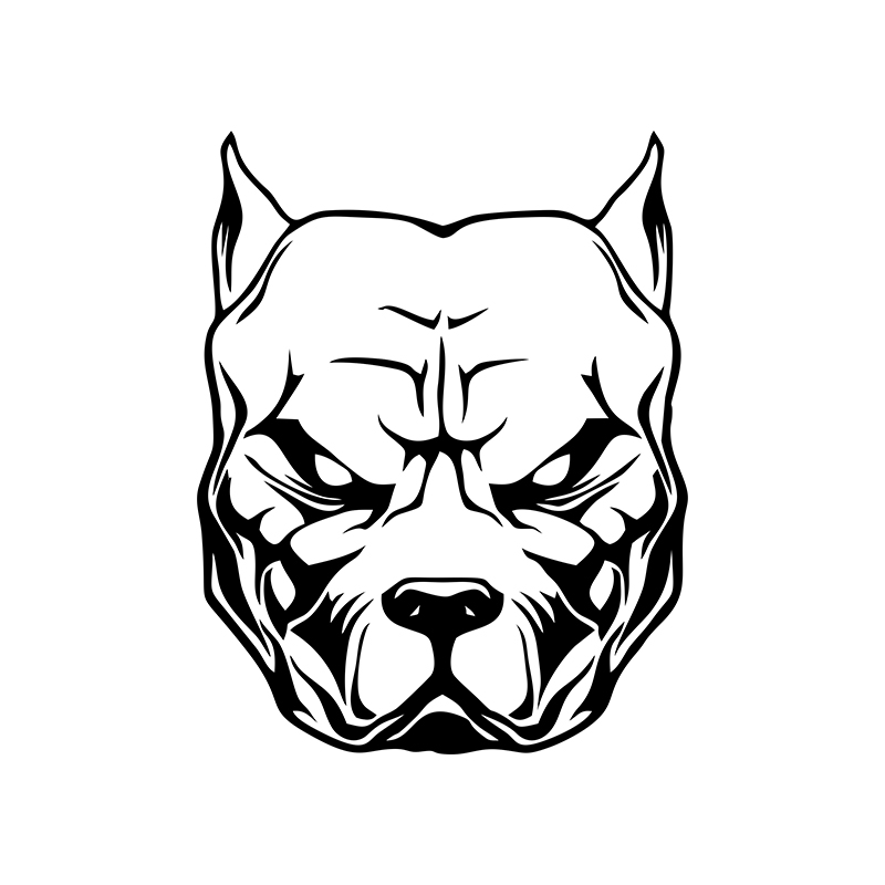 오토바이 스티커 개 패턴 핏불 핏불 반사 자동차 스티커 - Motorcycle Gear Dogs 리뷰 및 가격
