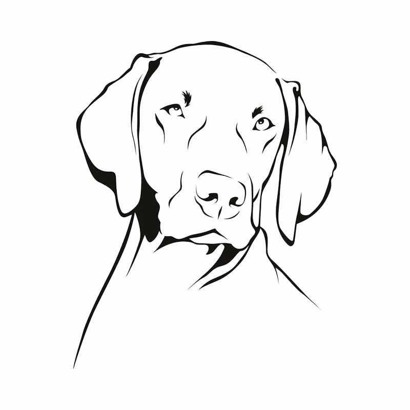 Weimaraner Dog 아웃라인 방수 PVC 비닐  - Motorcycle Gear Dogs 리뷰 및 가격