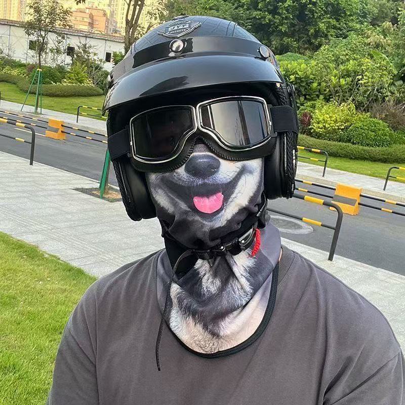 3d 고양이 개 귀여운 동물 발라크라바 오토바이 모토크 - Motorcycle Gear Dogs 리뷰 및 가격