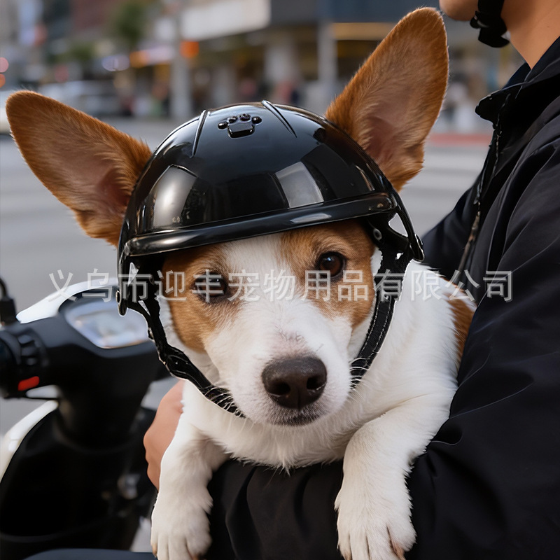 귀 구멍이 있는 분홍색 오토바이 애완동물 헬멧, 소형견 - Motorcycle Gear Dogs 리뷰 및 가격