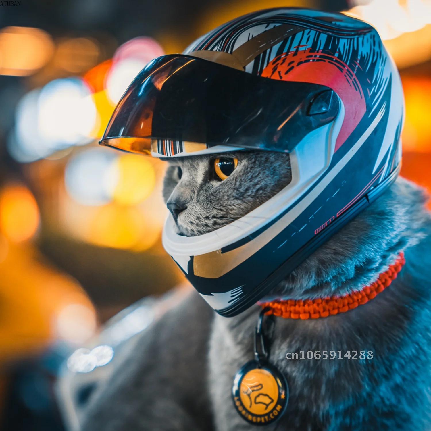 사진용 애완동물 헬멧, 고양이 헬멧, 강아지 헬멧-야외 - Motorcycle Gear Dogs 리뷰 및 가격