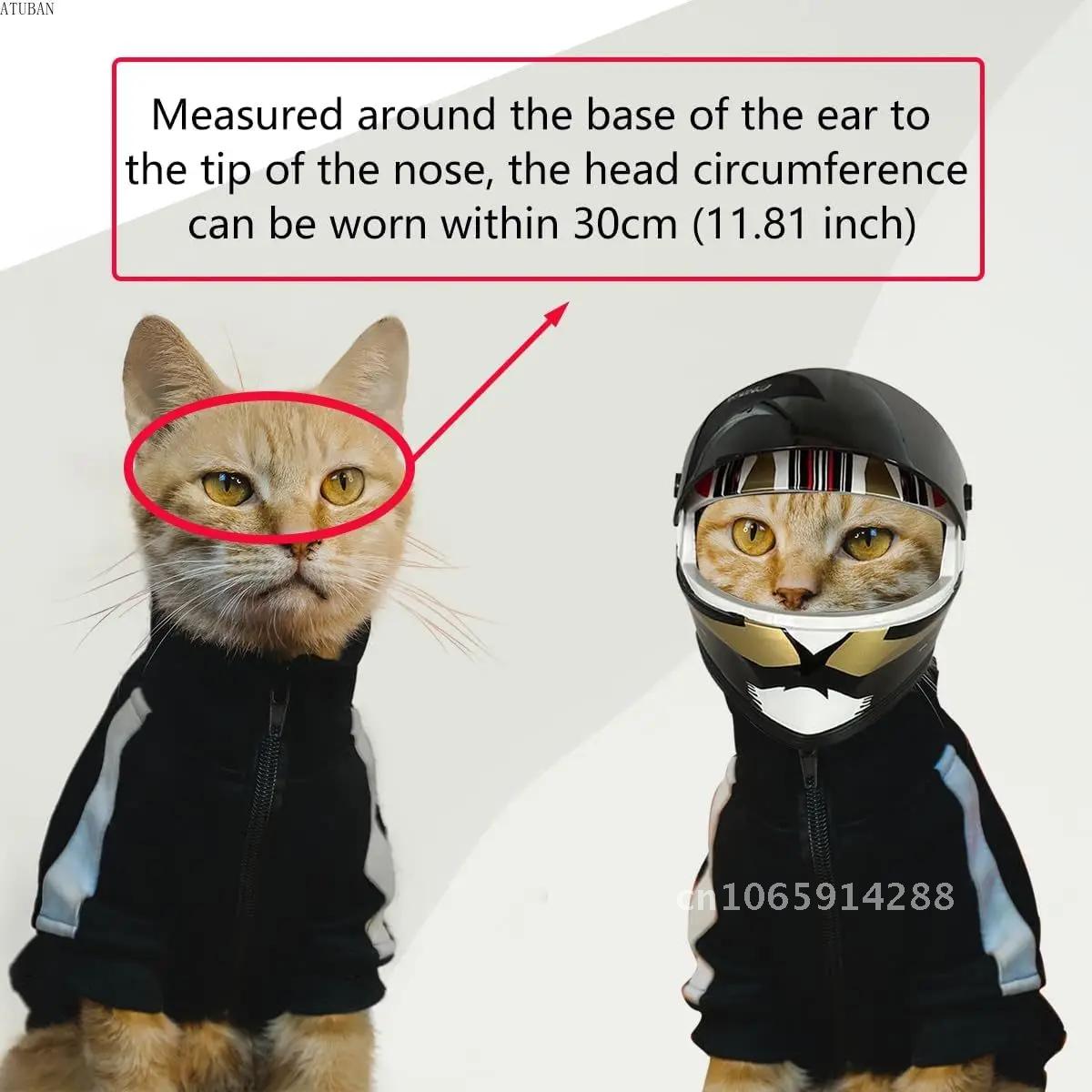 사진용 애완동물 헬멧, 고양이 헬멧, 강아지 헬멧-야외 - Motorcycle Gear Dogs 리뷰 및 가격