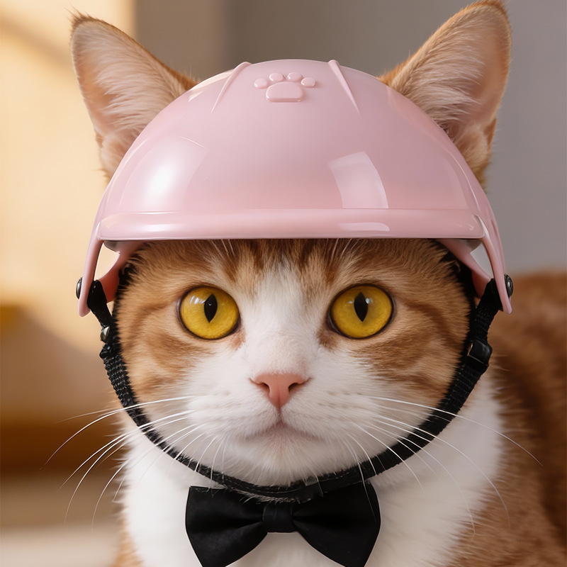 애완 동물 헬멧 3D 발 인쇄 개 고양이 안전 모자 경 - Motorcycle Gear Dogs 리뷰 및 가격