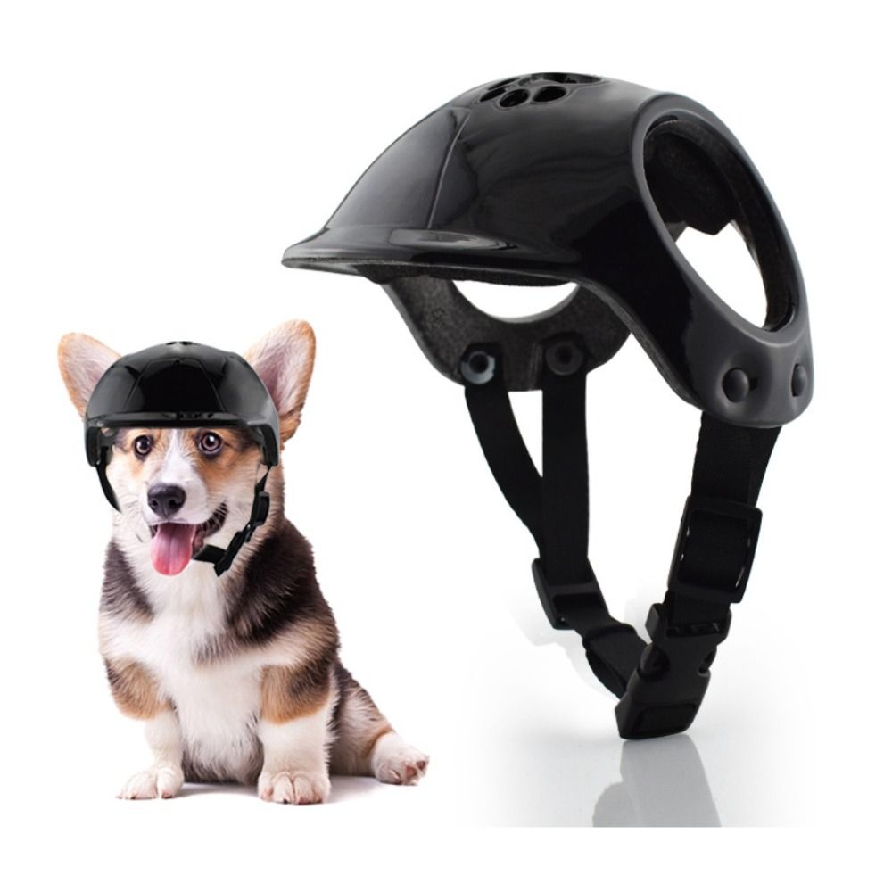 귀 구멍이 있는 플라스틱 애완견 헬멧 단색 애완동물 오 - Motorcycle Gear Dogs 리뷰 및 가격